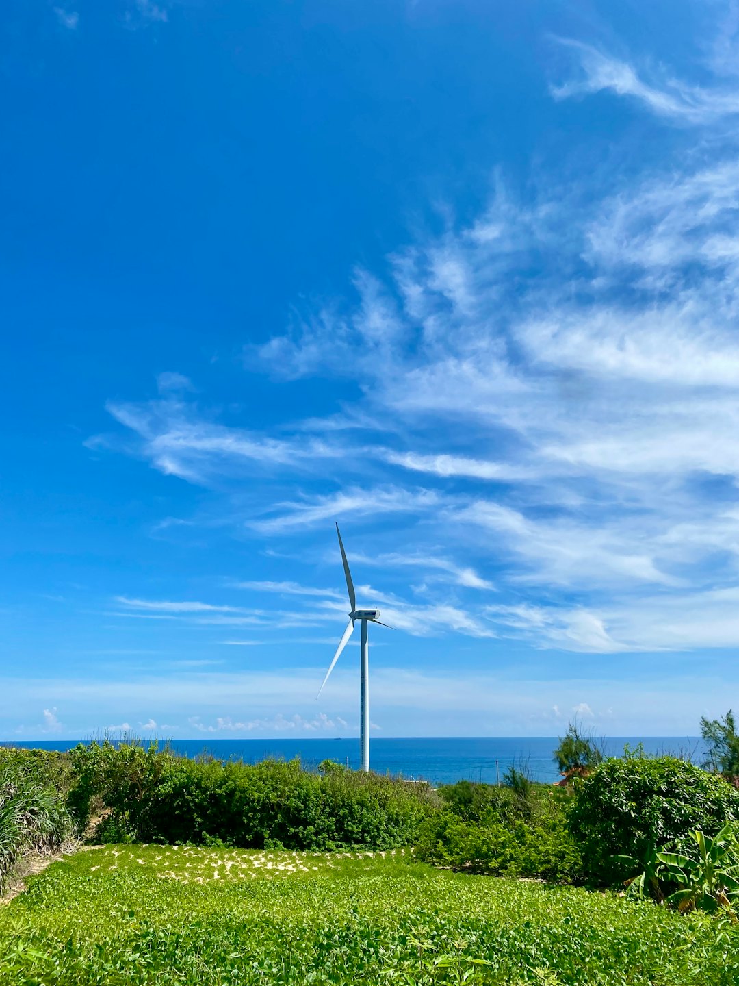 Una turbina eólica blanca se alza sobre un paisaje costero verde.
